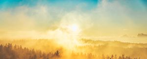 Превью обои туман, деревья, свет, солнце, природа