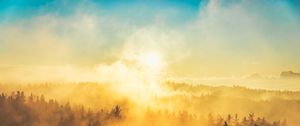 Превью обои туман, деревья, свет, солнце, природа
