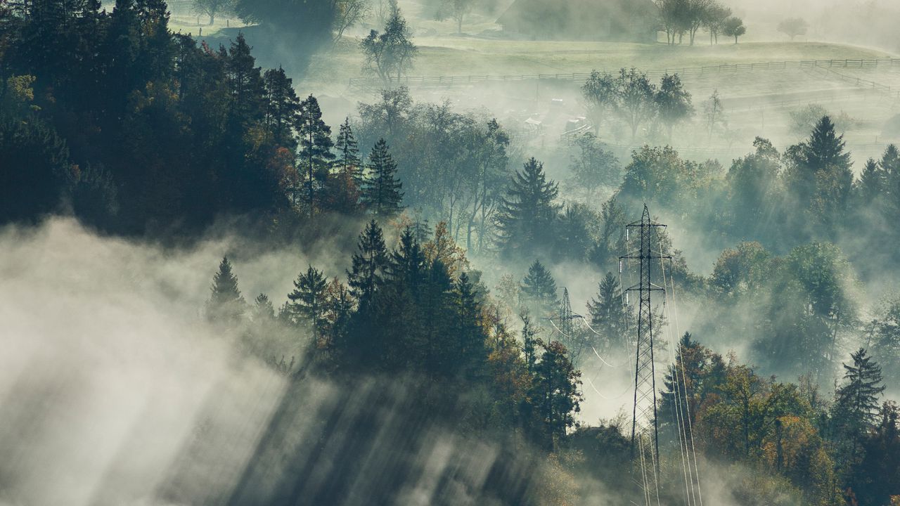 Обои туман, деревья, вид сверху, лес, блед, словения