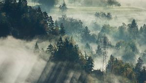 Превью обои туман, деревья, вид сверху, лес, блед, словения