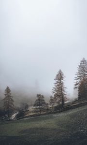Превью обои туман, деревья, забор, холм, природа