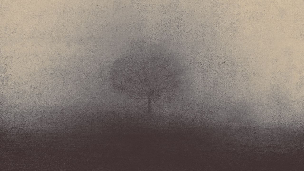 Обои туман, дерево, арт, мистический