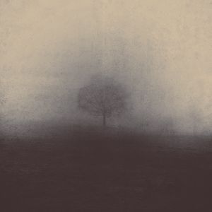 Превью обои туман, дерево, арт, мистический