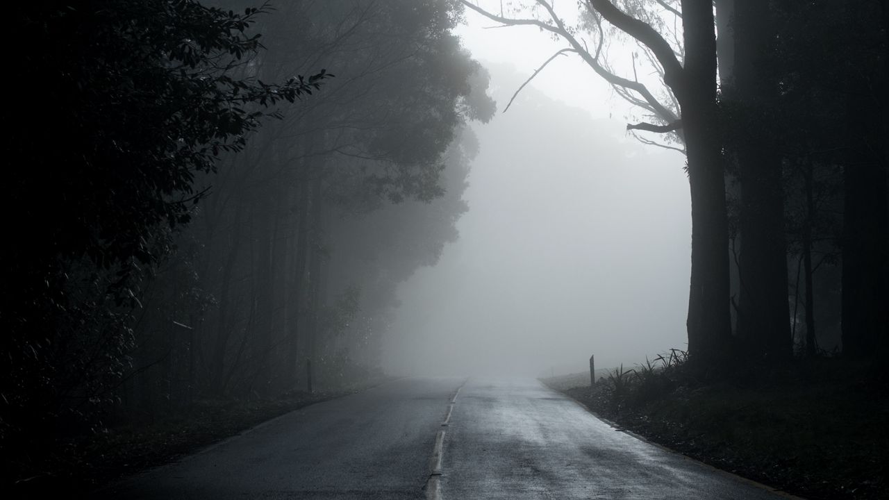 Обои туман, дорога, деревья, асфальт, пустота