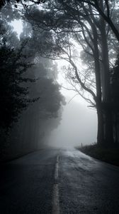 Превью обои туман, дорога, деревья, асфальт, пустота