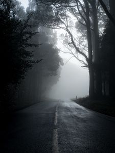 Превью обои туман, дорога, деревья, асфальт, пустота