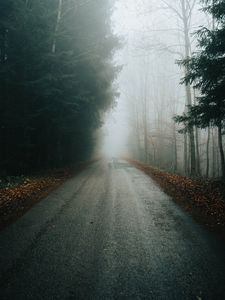 Превью обои туман, дорога, деревья, ветки, осень
