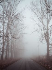Превью обои туман, дорога, деревья, рассвет, тишина