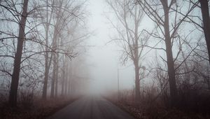 Превью обои туман, дорога, деревья, рассвет, тишина
