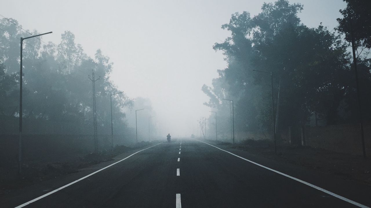 Обои туман, дорога, деревья, разметка, горизонт