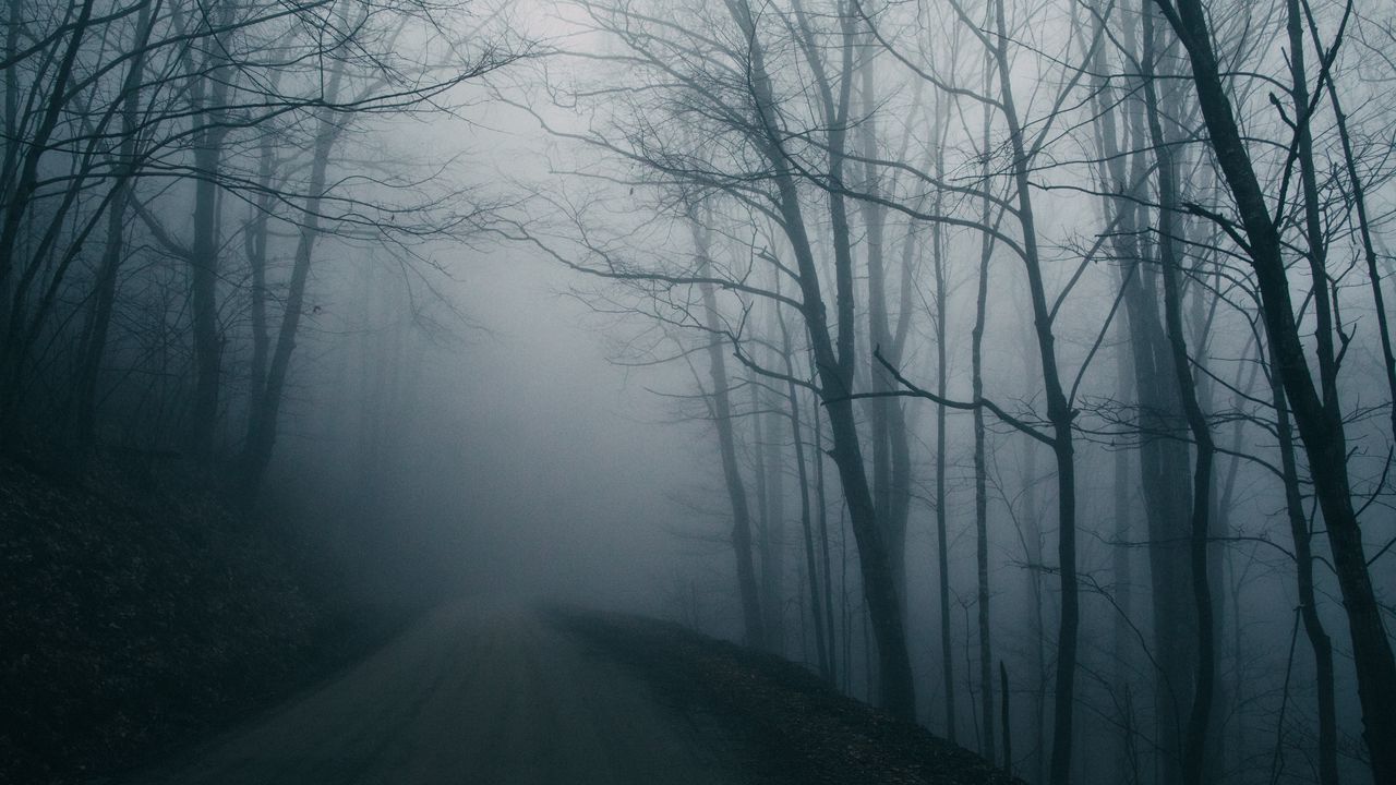 Обои туман, дорога, деревья, мрачный, темный