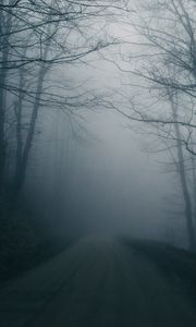 Превью обои туман, дорога, деревья, мрачный, темный