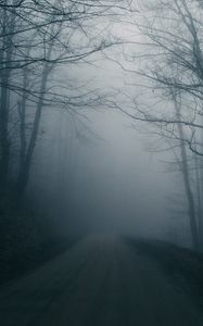 Превью обои туман, дорога, деревья, мрачный, темный