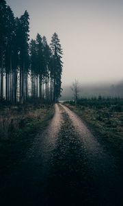 Превью обои туман, дорога, деревья, природа, пейзаж