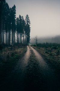 Превью обои туман, дорога, деревья, природа, пейзаж