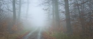 Превью обои туман, дорога, деревья, лес, осень
