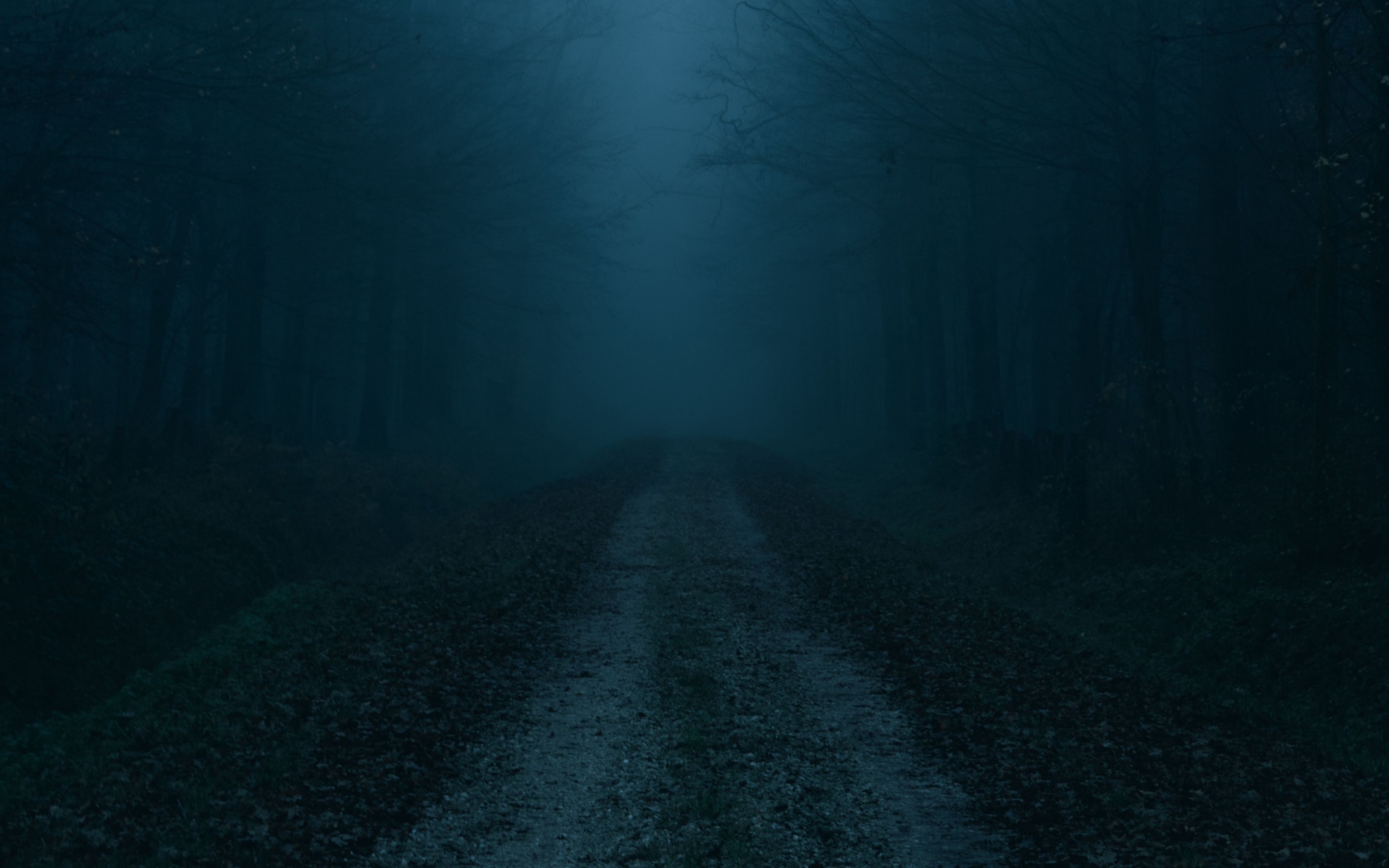 Темне т. Туман ночью. Темная дорога. Туман на дороге ночью. Мрачная дорога.