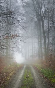 Превью обои туман, дорога, лес, деревья, природа