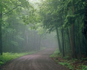 Превью обои туман, дорога, лес, неизвестность, мгла