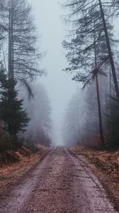 Превью обои туман, дорога, мрачный, лес