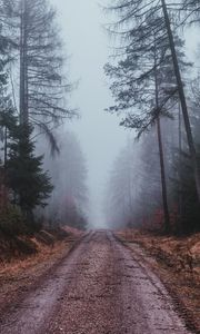 Превью обои туман, дорога, мрачный, лес