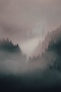 Превью обои туман, лес, деревья, холмы