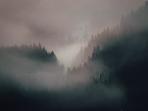 Превью обои туман, лес, деревья, холмы