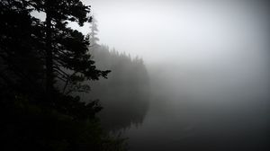 Превью обои туман, лес, деревья, берег