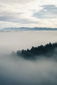 Превью обои туман, лес, пейзаж, природа