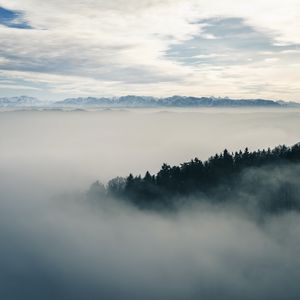 Превью обои туман, лес, пейзаж, природа