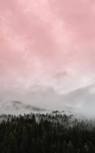 Превью обои туман, лес, розовый