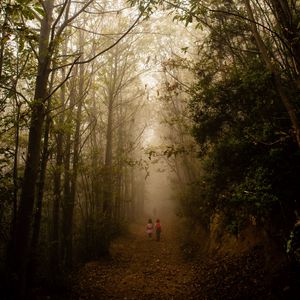 Превью обои туман, лес, тропинка, дети, прогулка