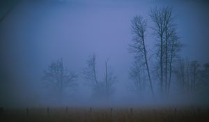 Превью обои туман, мгла, пелена, деревья, поле, вечер