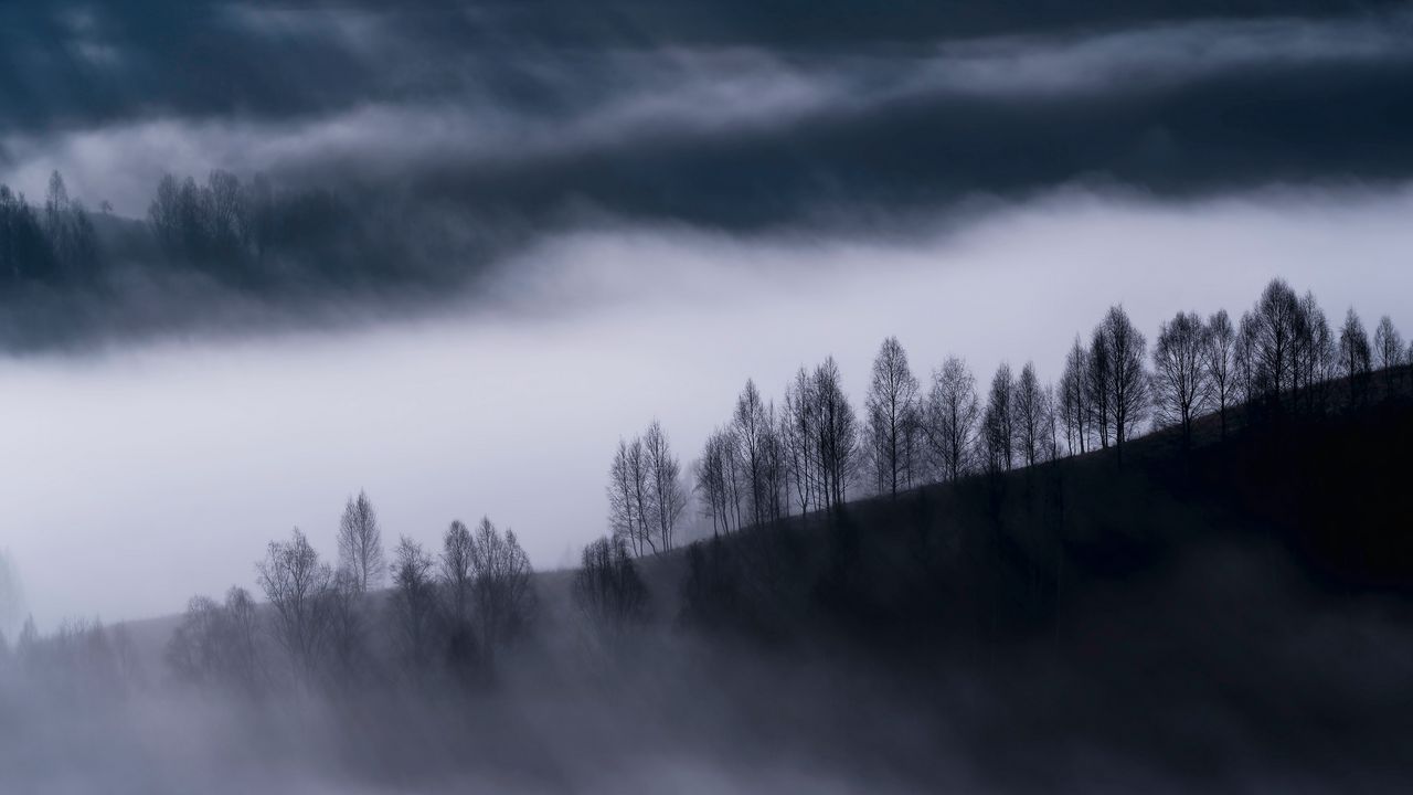Обои туман, облака, холмы, деревья, природа