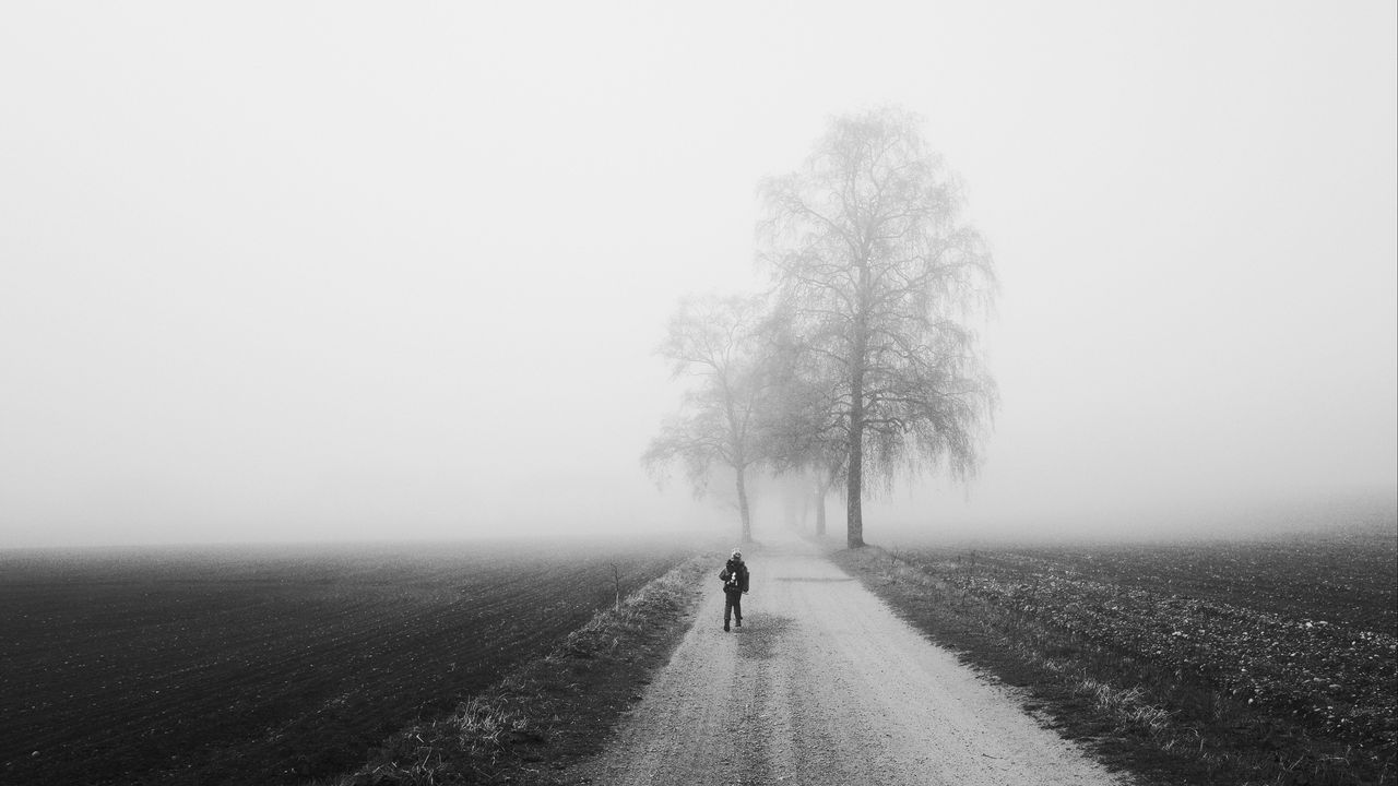 Обои туман, одиночество, чб, силуэт, дорога, деревья