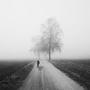 Превью обои туман, одиночество, чб, силуэт, дорога, деревья