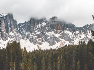 Превью обои туман, озеро, лес, скалы, отражение