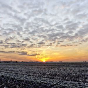 Превью обои туман, поле, небо, иней, hdr