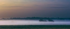 Превью обои туман, поле, рассвет, деревья, небо