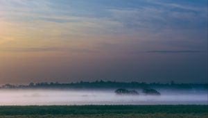 Превью обои туман, поле, рассвет, деревья, небо