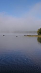 Превью обои туман, река, берег, деревья, рябь