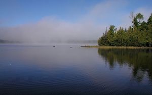 Превью обои туман, река, берег, деревья, рябь