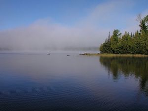 Превью обои туман, река, берег, деревья, рябь