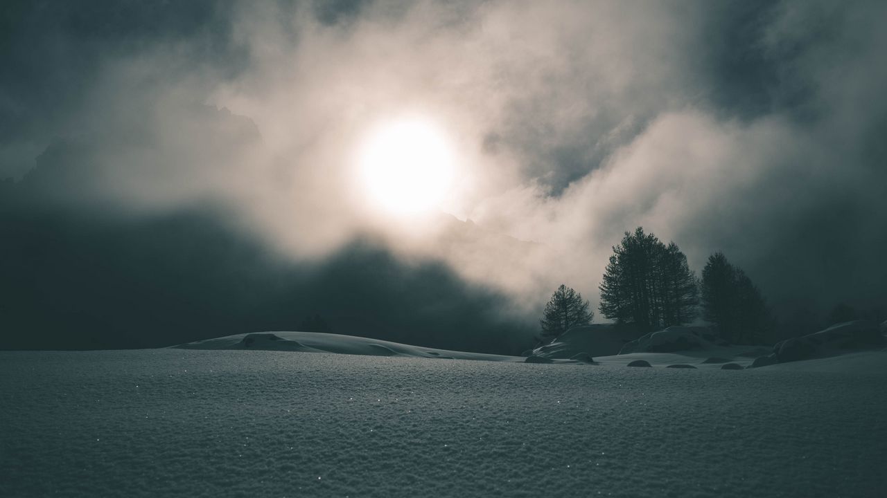 Обои туман, снег, деревья, ночь