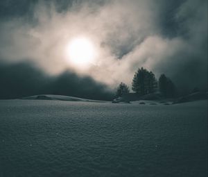 Превью обои туман, снег, деревья, ночь