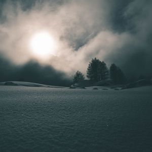 Превью обои туман, снег, деревья, ночь