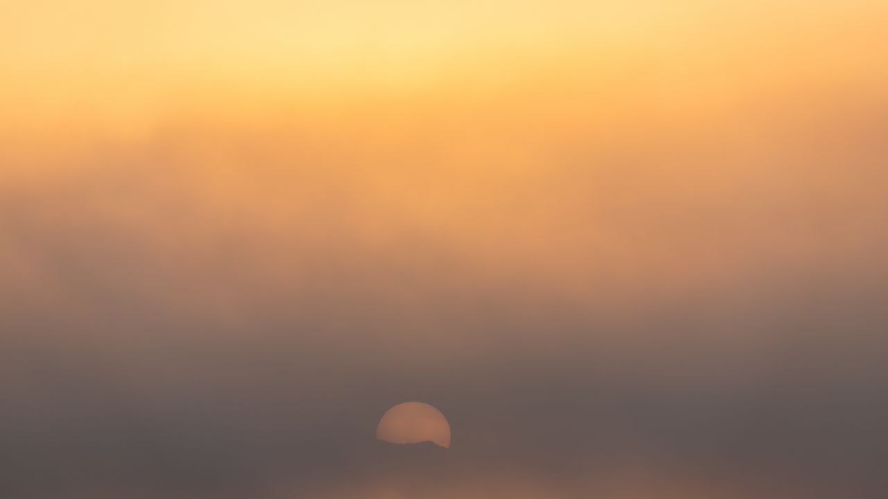 Обои туман, солнце, минимализм, природа