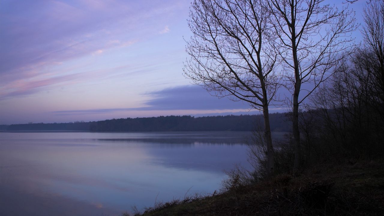 Обои туман, свежесть, утро, склон, дерево, озеро