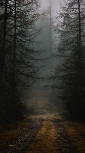 Превью обои туман, тропинка, ветки, лес, деревья, осень, мрачный