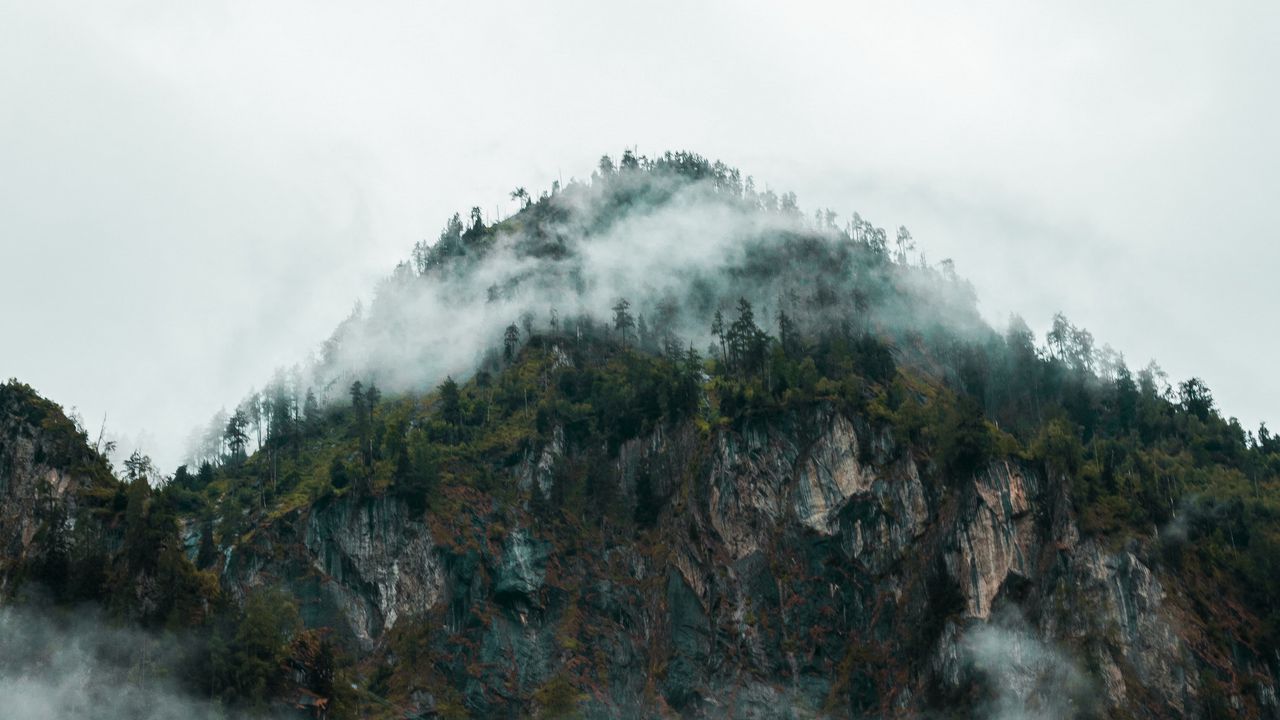 Обои туман, вершина, лес, скалы, горы